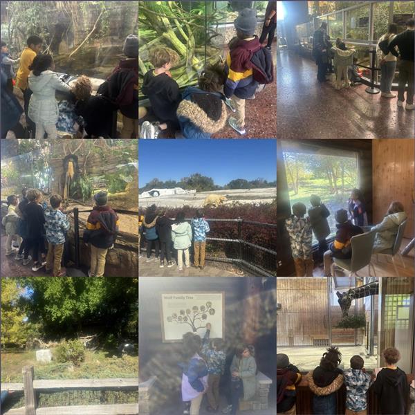 Students on a field trip